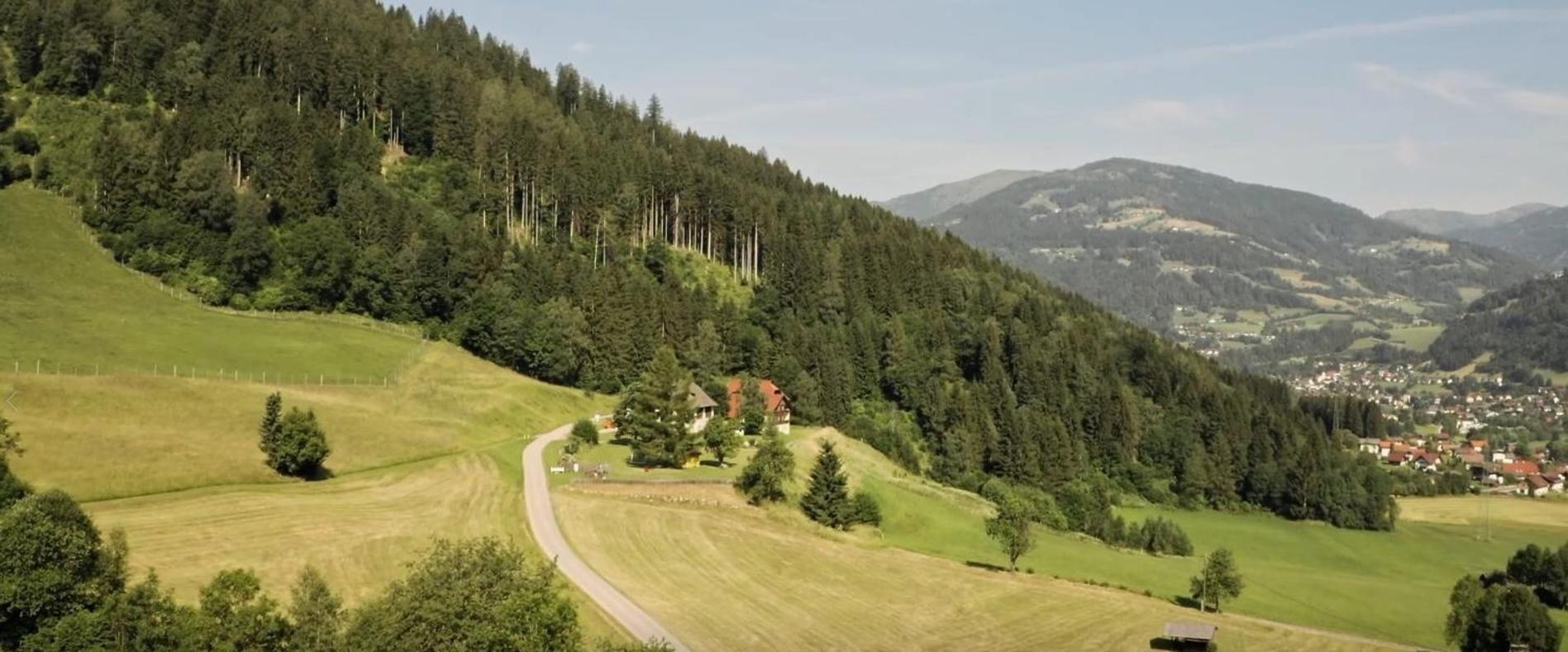 Gasthof Thurnerhof Untertweng Exteriör bild